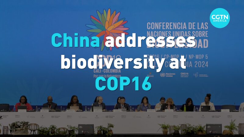 China_defiende_la_biodiversidad_en_la_COP16_en_Colombia video poster