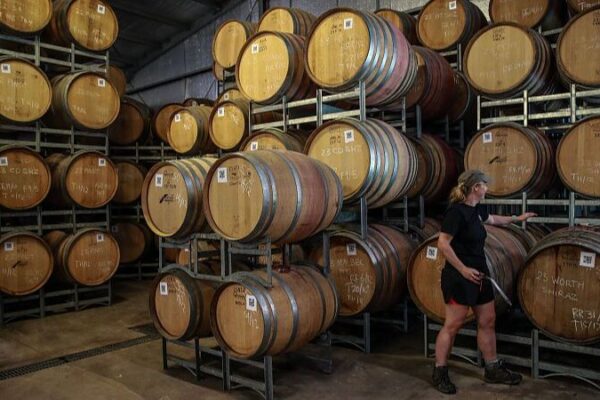 China_elimina_los_aranceles_antidumping_sobre_el_vino_australiano__Canberra_celebra_la_medida