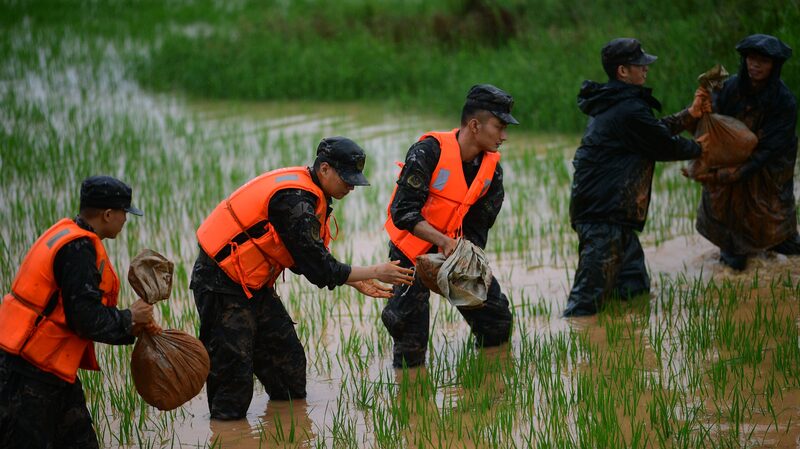 China_inyecta_76_millones_de_do_lares_en_agricultura_para_combatir_inundaciones_y_sequi_as___