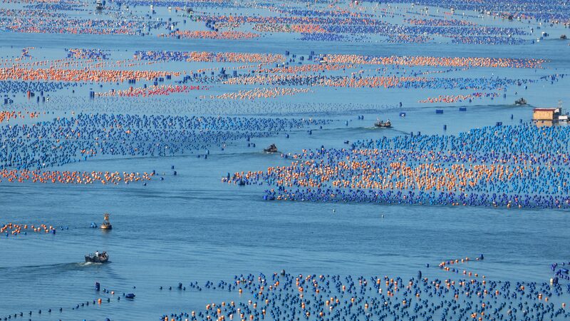 China_lidera_la_pesca_mundial_mientras_crecen_preocupaciones_por_sostenibilidad