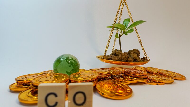 China_ofrece_a_los_madereros_ilegales_una_opcio_n_de_cre_ditos_de_carbono______