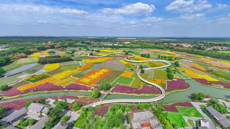 China_presenta_ambiciosas_directrices_para_la_transicio_n_verde__