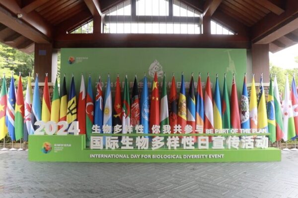 China_reafirma_compromiso_con_la_conservacio_n_de_la_biodiversidad_global__ video poster