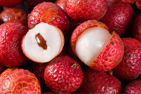 China revela 105 bancos de germoplasma de cultivos tropicales para impulsar la biodiversidad 🌿 China_revela_105_bancos_de_germoplasma_de_cultivos_tropicales_para_impulsar_la_biodiversidad__