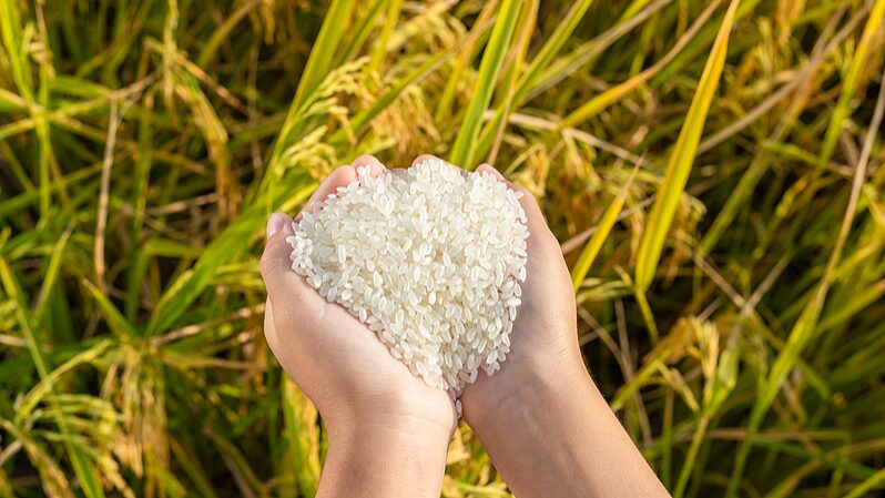 China_revela_plan_ambicioso_para_reducir_el_desperdicio_de_alimentos_para_2027
