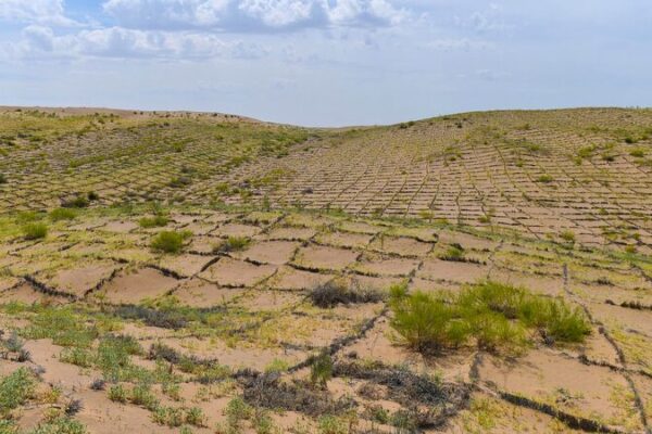 China rodea completamente el desierto Taklimakan con un cinturón verde 🌳 China_rodea_completamente_el_desierto_Taklimakan_con_un_cinturo_n_verde__