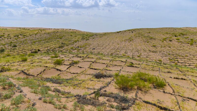 China_rodea_completamente_el_desierto_Taklimakan_con_un_cinturo_n_verde__