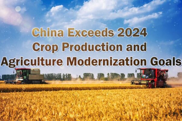 China supera metas agrícolas de 2024 antes de lo previsto 🌾🚀 China_supera_metas_agri_colas_de_2024_antes_de_lo_previsto___ video poster