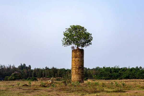 China toma una medida audaz para hacer más ecológica la producción de cemento 🌍🏭 China_toma_una_medida_audaz_para_hacer_ma_s_ecolo_gica_la_produccio_n_de_cemento___