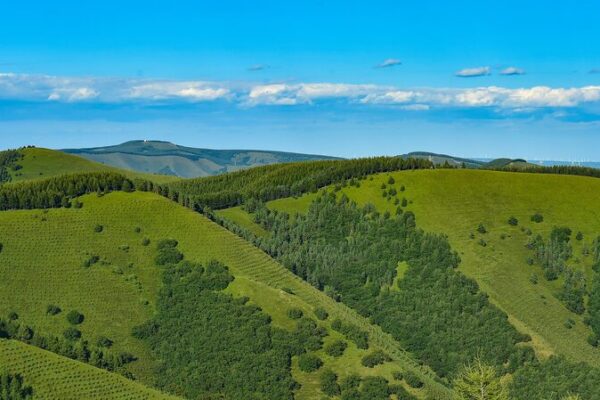 China verde: El impresionante avance del Programa Tres-Norte 🌲 China_verde__El_impresionante_avance_del_Programa_Tres_Norte__