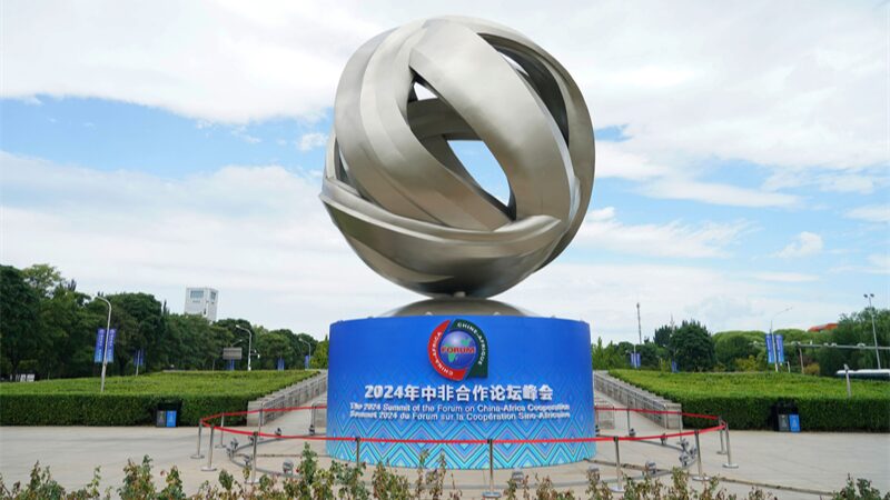 China_y_A_frica__Construyendo_un_Futuro_ma_s_Verde_Juntos___