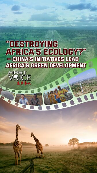 China_y_A_frica__Socios_en_el_Desarrollo_Verde__ video poster