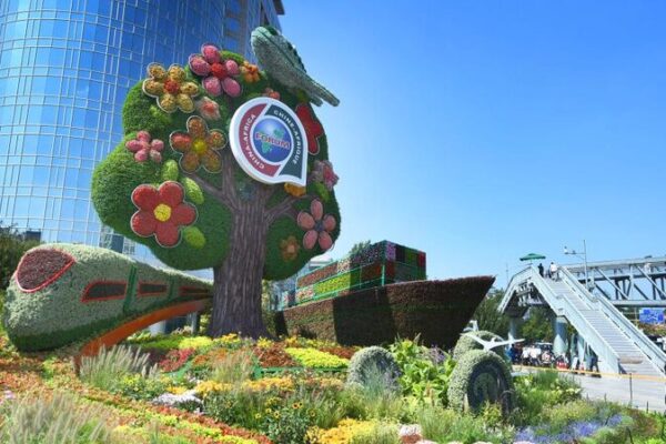 China y África: Una alianza en crecimiento que está moldeando el futuro 🌍🤝 China_y_A_frica__Una_alianza_en_crecimiento_que_esta__moldeando_el_futuro___