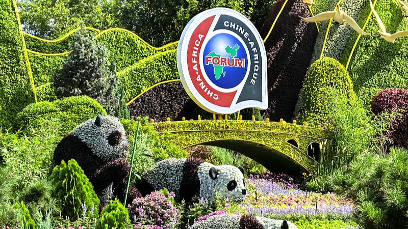 China_y_A_frica_fortalecen_lazos_econo_micos_y_comerciales_en_FOCAC