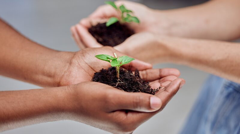 China_y_A_frica_se_unen_por_un_futuro_ma_s_verde___