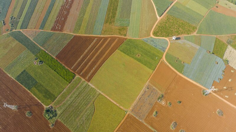 China_y_Francia_se_Unen_para_Revolucionar_la_Agricultura___