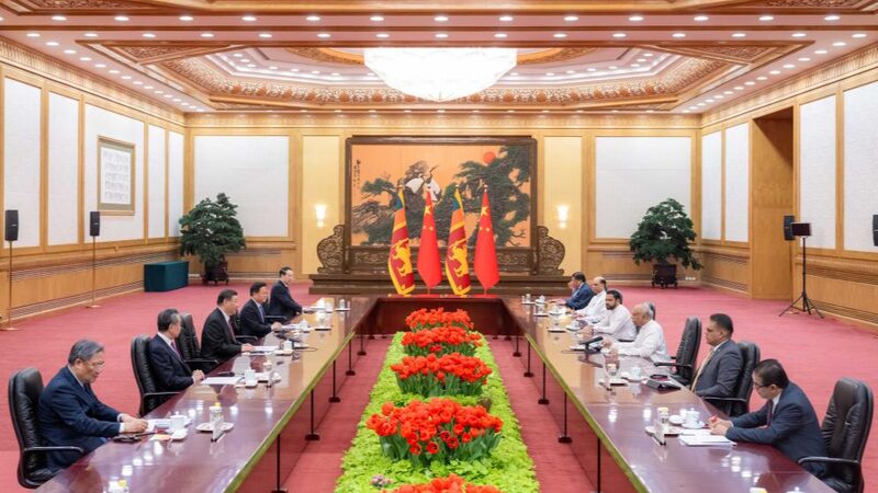 China_y_el_Sur_Global__Construyendo_un_Futuro_Brillante_Juntos___