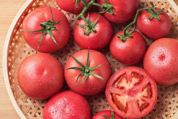 Cienti_ficos_chinos_desarrollan_tomates_resistentes_al_calor_para_combatir_el_cambio_clima_tico____