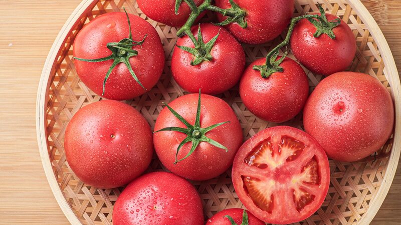Cienti_ficos_chinos_desarrollan_tomates_resistentes_al_calor_para_combatir_el_cambio_clima_tico____