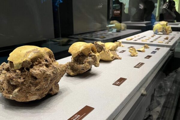 Científicos chinos descubren fósiles humanos de 300,000 años en la provincia de Anhui 🦴🔍 Cienti_ficos_chinos_descubren_fo_siles_humanos_de_300_000_an_os_en_la_provincia_de_Anhui___