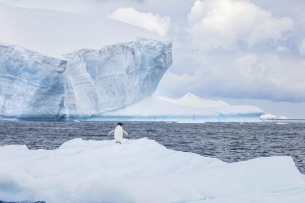 ¡Científicos chinos usan aprendizaje profundo para predecir el hielo marino en la Antártida! 🤖❄️ _Cienti_ficos_chinos_usan_aprendizaje_profundo_para_predecir_el_hielo_marino_en_la_Anta_rtida_____