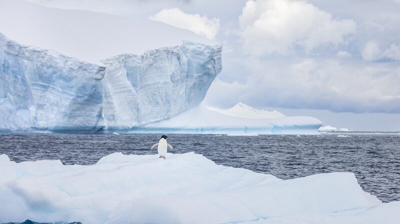 _Cienti_ficos_chinos_usan_aprendizaje_profundo_para_predecir_el_hielo_marino_en_la_Anta_rtida_____