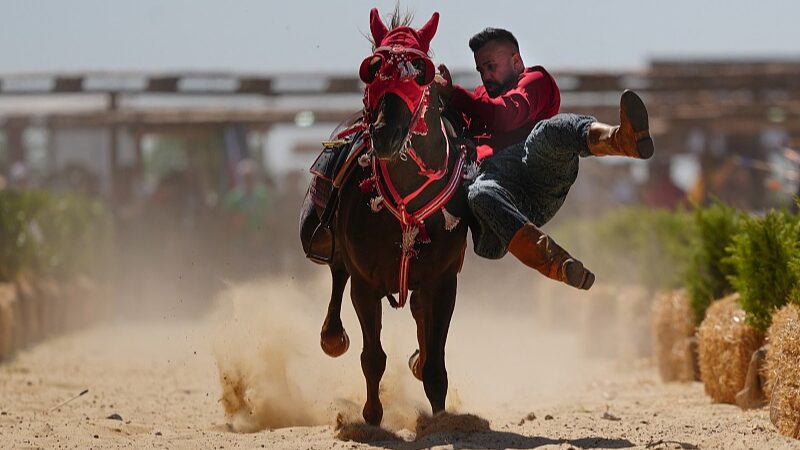 Cienti_ficos_descubren_co_mo_los_caballos_conquistaron_el_mundo_hace_4_000_an_os___