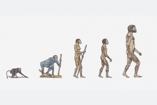 Científicos instan a investigación liderada por África para descubrir la evolución humana 🧬 Cienti_ficos_instan_a_investigacio_n_liderada_por_A_frica_para_descubrir_la_evolucio_n_humana__