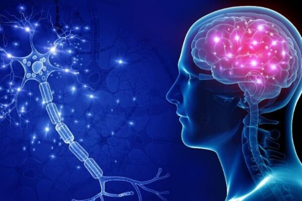 Cienti_ficos_surcoreanos_revelan_Nano_MIND__Control_remoto_de_funciones_cerebrales