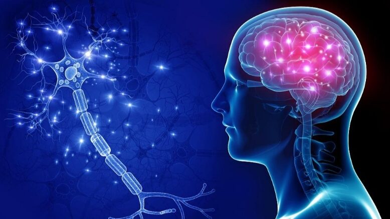 Cienti_ficos_surcoreanos_revelan_Nano_MIND__Control_remoto_de_funciones_cerebrales
