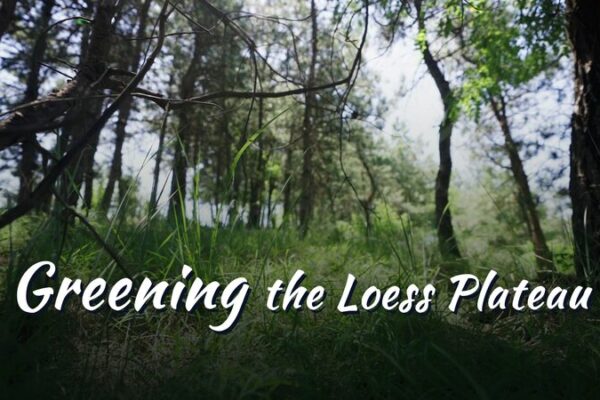 Cómo las manzanas convirtieron la meseta de Loess en un paraíso verde 🍎🌳 Co_mo_las_manzanas_convirtieron_la_meseta_de_Loess_en_un_parai_so_verde___ video poster