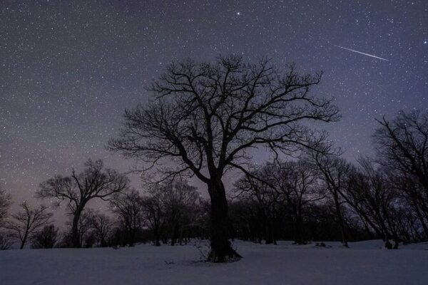 Cómo observar las Cuadrántidas: La primera lluvia de meteoros del año Co_mo_observar_las_Cuadra_ntidas__La_primera_lluvia_de_meteoros_del_an_o