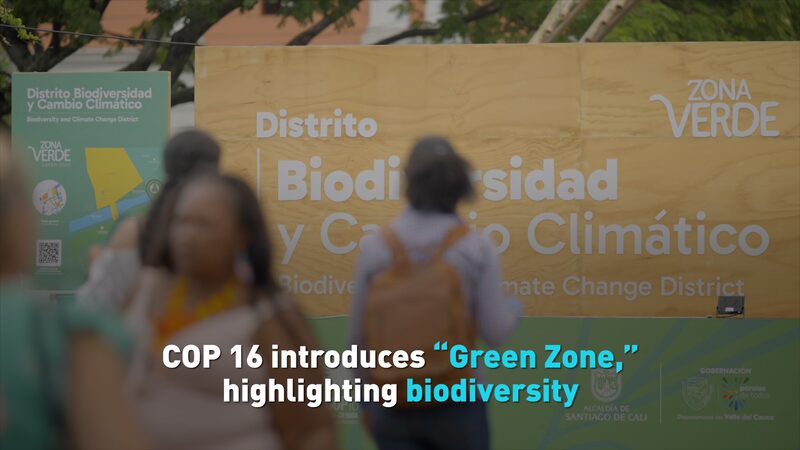 _Colombia_inaugura_la__Zona_Verde__en_la_COP16_para_celebrar_la_biodiversidad____ video poster