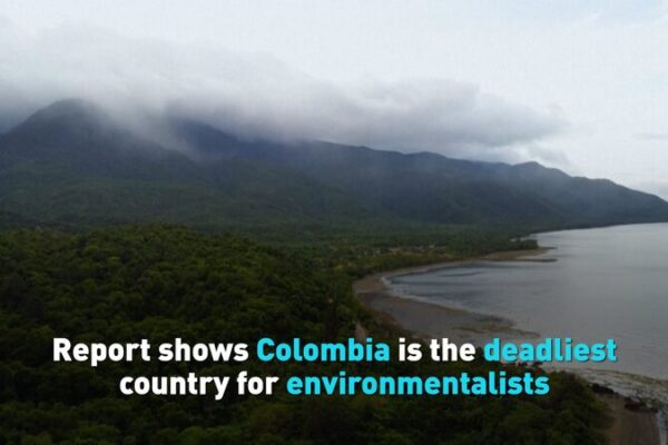 Colombia se convierte en el lugar más mortal para los héroes ambientales Colombia_se_convierte_en_el_lugar_ma_s_mortal_para_los_he_roes_ambientales video poster