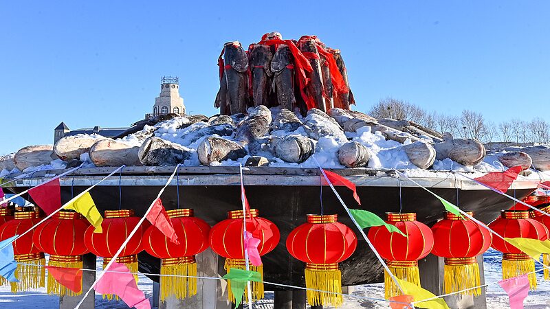 _Comienza_la_temporada_e_pica_de_pesca_en_hielo_en_Heilongjiang__China__175_000_kg_en_la_primera_captura_ video poster