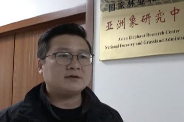 Conoce_a_Chen_Fei__El_Perseguidor_de_Elefantes_que_Protege_la_Fauna_de_China