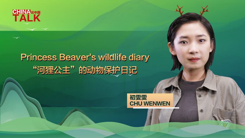 Conoce_a_Chu_Wenwen__La__Princesa_Castor__de_China_que_Protege_a_los_Arquitectos_de_la_Naturaleza video poster