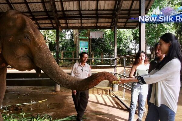 Conoce_a_los_Elefantes_Rescatados_del_Orfanato_Pinnawala_en_Sri_Lanka video poster
