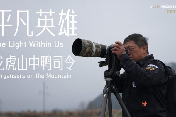 Conoce al Guardabosques que Protege al ‘Panda Gigante de las Aves’ de China 🐼🐦 Conoce_al_Guardabosques_que_Protege_al__Panda_Gigante_de_las_Aves__de_China___ video poster