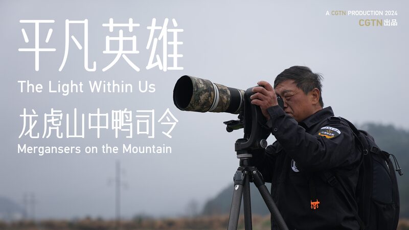 Conoce_al_Guardabosques_que_Protege_al__Panda_Gigante_de_las_Aves__de_China___ video poster