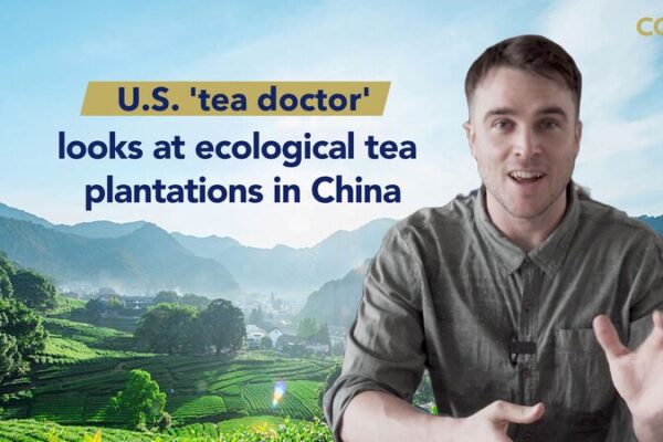 Conoce al ‘Doctor del Té’ de los EE. UU. Descubriendo los Secretos del Té Orgánico en China Conoce_al__Doctor_del_Te___de_los_EE__UU__Descubriendo_los_Secretos_del_Te__Orga_nico_en_China video poster
