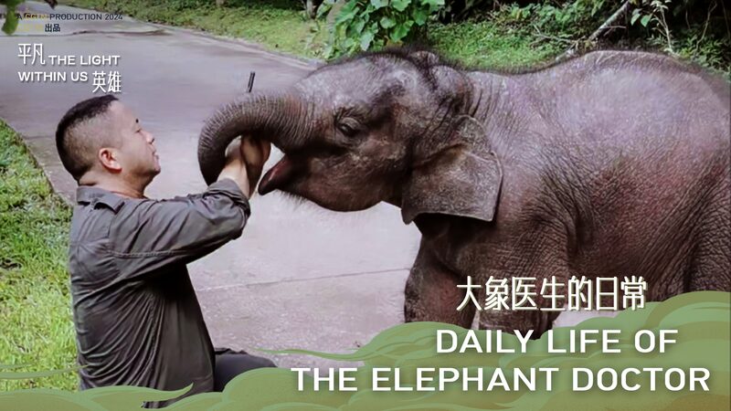 Conoce_al__Papa__Elefante___Un_Di_a_en_la_Vida_del_Me_dico_de_Elefantes_en_China video poster