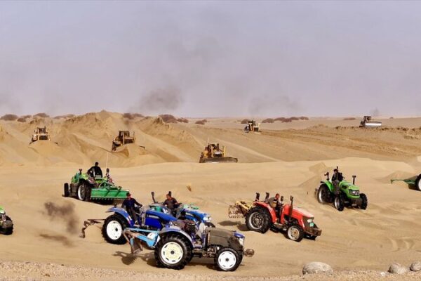 Convirtiendo_Desiertos_en_Verde__Habitantes_de_Xinjiang_Combaten_Arenas_Movedizas_con_A_rboles_de_Saxaul video poster