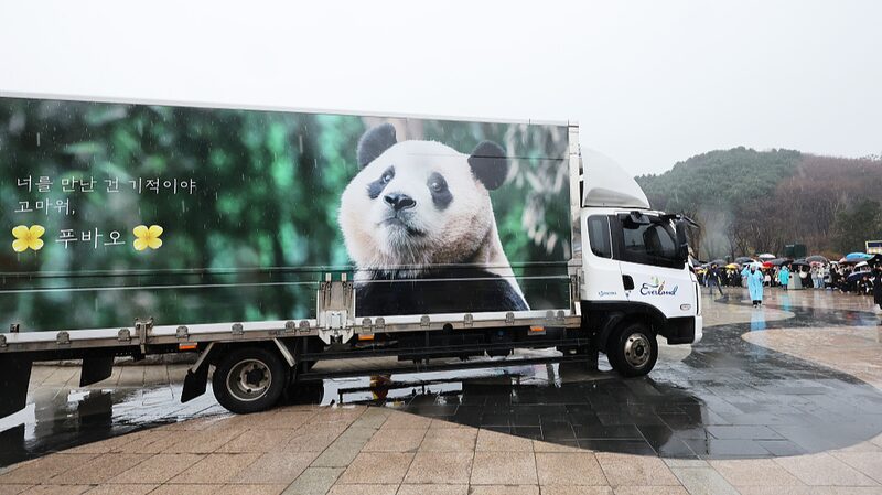 Corea_del_Sur_se_despide_de_la_estrella_panda_Fu_Bao_mientras_regresa_a_China____ video poster