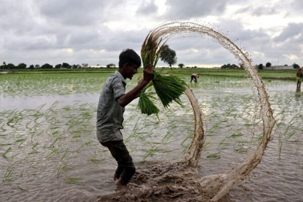 Crisis mundial del agua pone en riesgo la mitad de los alimentos del mundo para 2050 🌎💧 Crisis_mundial_del_agua_pone_en_riesgo_la_mitad_de_los_alimentos_del_mundo_para_2050___