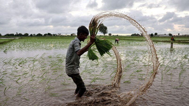 Crisis_mundial_del_agua_pone_en_riesgo_la_mitad_de_los_alimentos_del_mundo_para_2050___