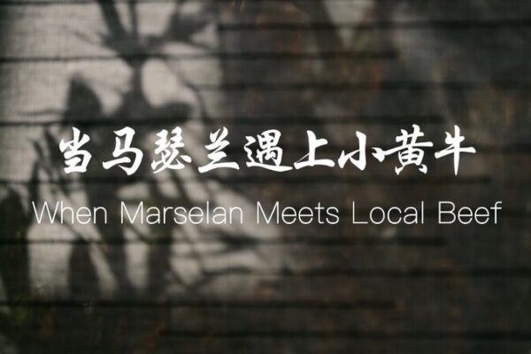 Cuando_Marselan_Encuentra_Carne_Local__La_Aventura_del_Vino_de_Ma_Liang video poster