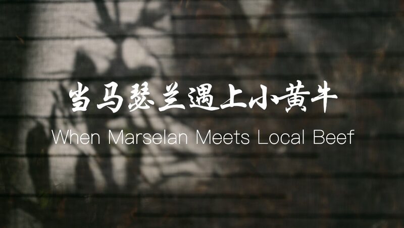 Cuando_Marselan_Encuentra_Carne_Local__La_Aventura_del_Vino_de_Ma_Liang video poster