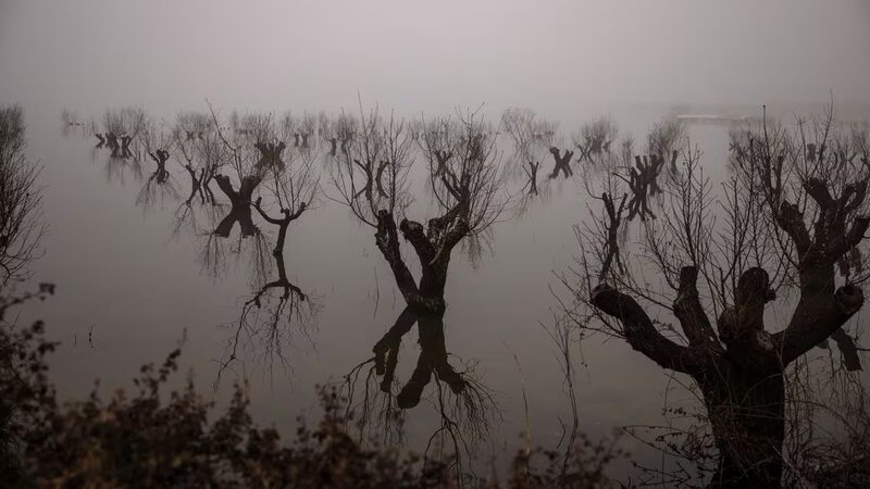 Cuando_las_Tierras_de_Cultivo_se_Convierten_en_Lago__La_Lucha_de_los_Agricultores_Griegos_contra_el_Clima_Extremo___