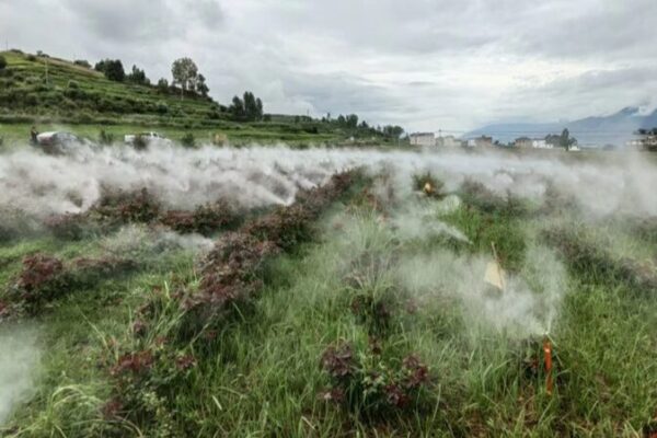 Cultivando Resiliencia: Cómo los Agricultores de China Enfrentan el Cambio Climático 🌱 Cultivando_Resiliencia__Co_mo_los_Agricultores_de_China_Enfrentan_el_Cambio_Clima_tico__